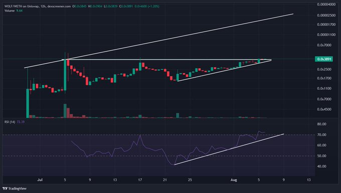 A 12-hour trading chart of WOLF/USDT on Gate.io showing an ascending triangle pattern, with the current price at approximately 0.00391 USDT and an RSI of 72.29.