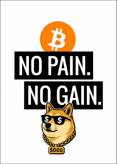 The image features a dog wearing sunglasses, with the text "No Pain, No Gain." written above its head. Below this, there are two lines of text that read "$DOG $BTC", which seems to be a reference to Bitcoin or cryptocurrency. The overall theme of the image is related to the concept of survival and overcoming challenges in the context of the digital world.