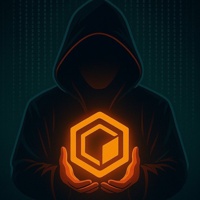 Illustration of a hooded figure holding a glowing orange hexagonal cryptocurrency symbol against a background of digital code.