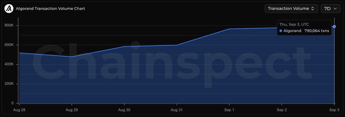 A dark-themed line chart titled 'Algorand Transaction Volume Chart' displays a 7-day trend showing transaction volume rising from approximately 500K to 790,064 txns on Sep 3, with the 'chaininspect' watermark visible.
