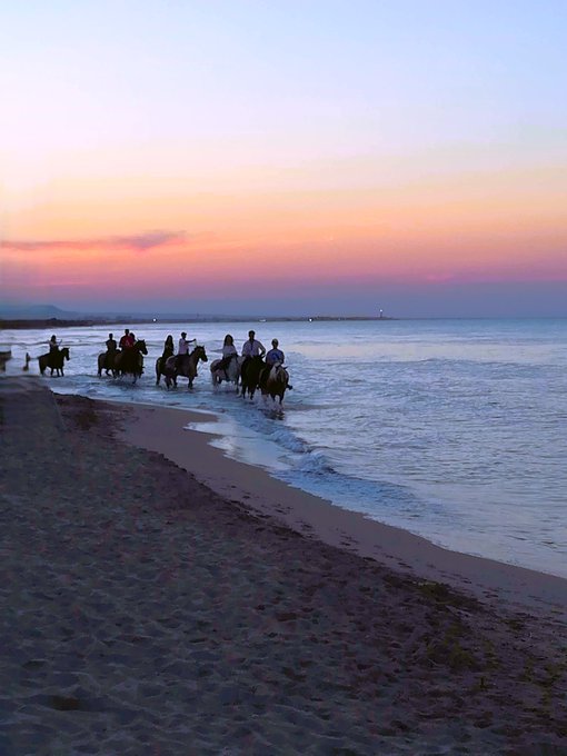A group of people riding horses along the shoreline of a beach at sunset, with the sky showing pink and orange hues.