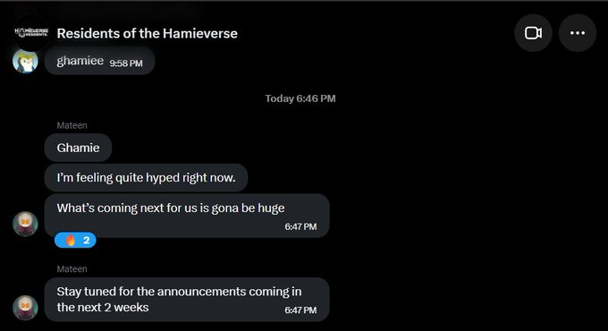 A Discord chat screenshot in 'Residents of the Hamieverse' where user @hamiee says 'I'm feeling quite hyped right now. What's coming next for us is gona be huge' with a message about announcements coming in the next 2 weeks.