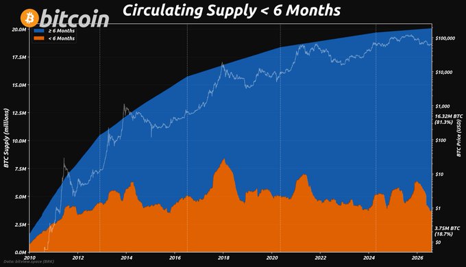 A Bitcoin chart showing circulating supply split by age, with 3.75M BTC (18.7%) held for less than 6 months in orange and 16.32M BTC (81.3%) held for 6 months or longer in blue, overlaid against BTC price history from 2010 to 2026.