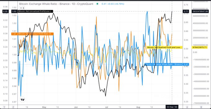 A financial chart from CryptoQuant showing the Bitcoin: Exchange Whale Ratio on Binance and Bitcoin Net Unrealized Profit/Loss from April to September 2026.