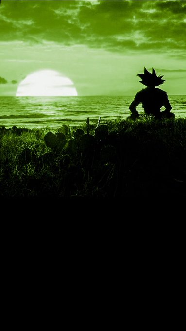 A silhouette of an anime character with spiky hair sits on a grassy cliff overlooking the ocean at sunset, rendered in green tones.