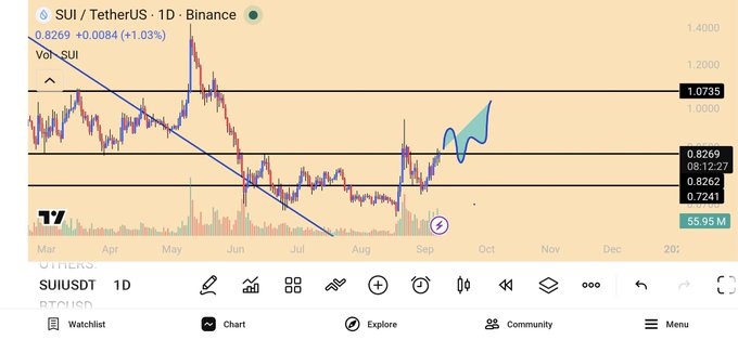 A TradingView daily chart of SUI/TetherUS on Binance shows the price at 0.8269 (+1.03%), with a marked potential bullish cup-and-handle pattern forming after a breakout attempt near 1.0000, supporting the post's claim that a successful breakout and retest could pave the way toward $1.