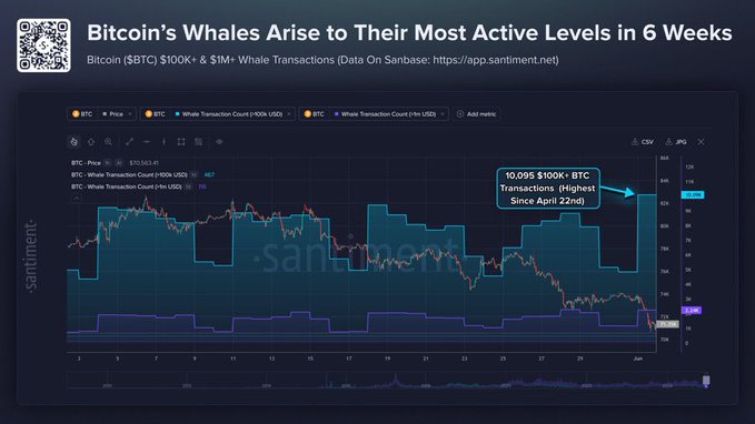 The image features a graph showing Bitcoin whale transactions throughout six weeks, with a significant spike at $100K happening around April. This highlights the cryptocurrency's fluctuating market value and the importance of careful monitoring for investors. The graph also shows other notable periods in Bitcoin price movements during this period. A text box next to the graph provides information about the current price of Bitcoin, focusing on how it has moved up and down over time.