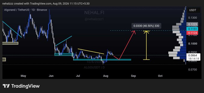 A TradingView chart showing the Algorand/TetherUS (ALGOUSDT) daily price on Binance, with technical analysis drawn on it including an upward red arrow, yellow arrow, and price targets around 0.0300-0.0330, with watermark text 'NEHALZZ' and '@nehalzzzz1'.