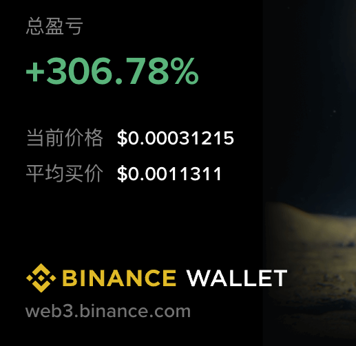 A Binance Wallet advertisement showing financial figures in Chinese: '总盈亏 +306.78%', '当前价格 $0.00031215', '平均买价 $0.0011311' with the web3.binance.com URL.