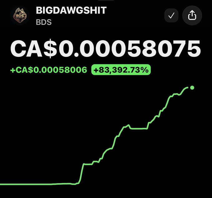 A cryptocurrency price chart for BIGDAWGSHIT (BDS) showing a value of CA$0.00058075 with an 83,392.73% increase in green.