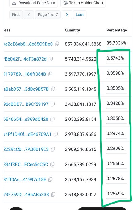 A cryptocurrency token holder chart showing wallet addresses with quantities and percentages, where one holder controls 85.7336% while others shown hold approximately 0.25% to 0.57%.