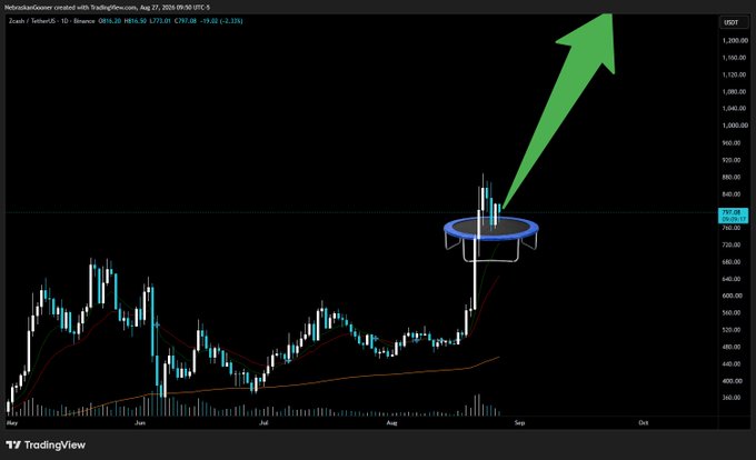 A TradingView candlestick chart of Zcash/TetherUS (ZECUSDT) on the 1-day timeframe shows a recent bounce off a key support level highlighted by a drawn trampoline, with a large green arrow pointing upward toward the $1,000 target—visually matching the post's "day 5" trampoline bounce and bullish sentiment.