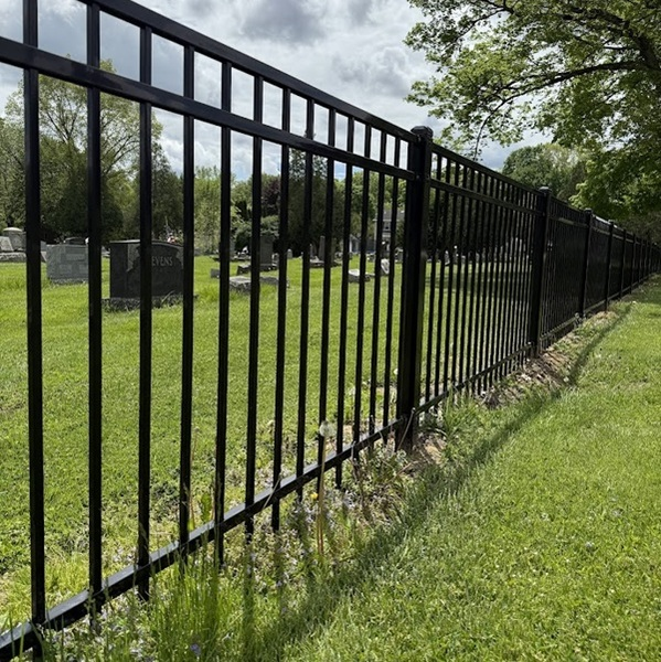 A black metal fence encloses a cemetery with visible headstones, where the "EVANS" name can be read on one grave marker.

The image relates to the post through its visual metaphor of division and enclosure—the fence acts as a boundary keeping things separated on either side. The "Spam I" reference and the cemetery setting evoke themes of exclusion and boundary-setting, while the contrast between the open grass beyond the fence and the enclosed graveyard mirrors the tension described in discussing BIP-110's potential to divide Bitcoin users from "suitcoiners."