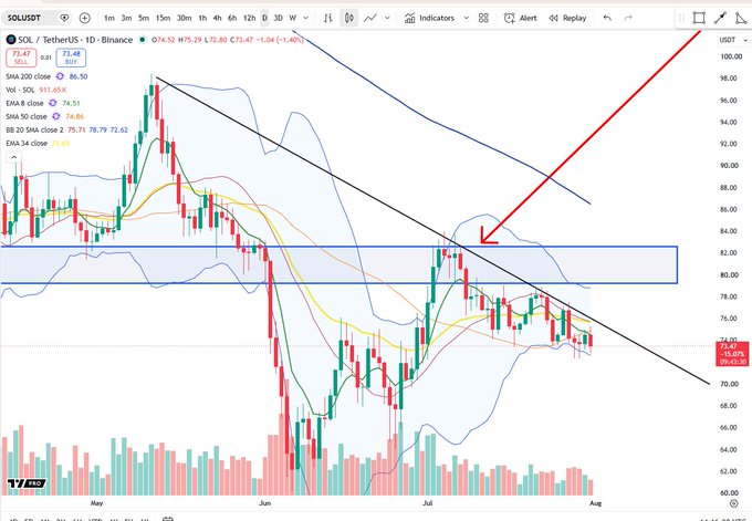 A TradingView daily chart of SOL/USDT on Binance shows the price at $73.47 (-1.08%), down from a recent high near the highlighted resistance zone around $81-82, with the price testing a descending trendline and approaching the 200-day SMA (~$81.50) overhead.