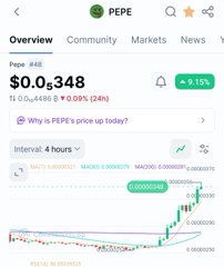 A mobile app screenshot showing the PEPE token with the ticker 'Pepe #48' and price '$0.0,348', showing an 8.13% increase.