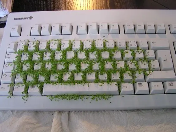 A white Cherry-branded keyboard sits on a surface, with green moss or grass-like material growing across its keys and in the gaps between them.
