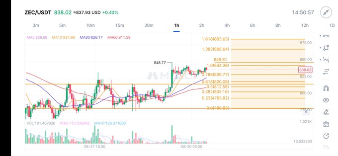 A trading chart for ZEC/USDT showing a current price of 838.02 USD (+37.93 USD, +0.40%) with various Fibonacci retracement levels and moving averages.