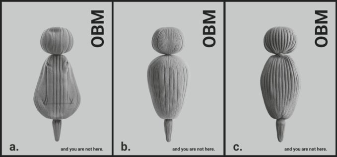 Three variations of a 3D-modeled, ribbed, gray figure are shown in panels labeled 'a.', 'b.', and 'c.', each marked with 'OBM' and 'and you are not here.'