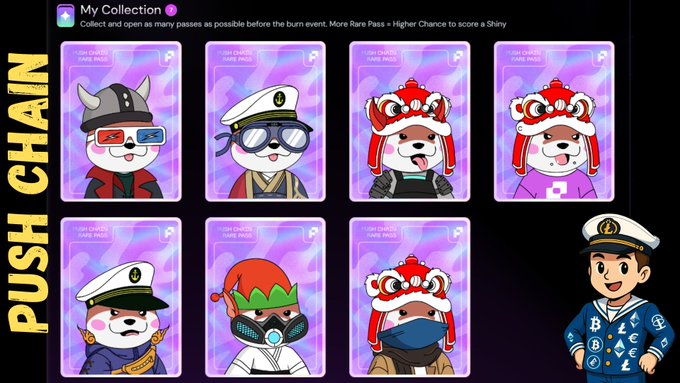 A digital 'PUSH CHAIN' collection displays seven 'RARE' NFT passes featuring cartoon dogs in various costumes alongside an illustration of a sailor character.