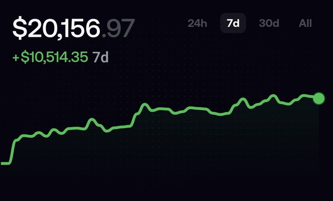 A financial dashboard displays a value of $20,156.97 with a 7-day gain of +$10,514.35, shown as an upward-trending green line graph on a dark background.
