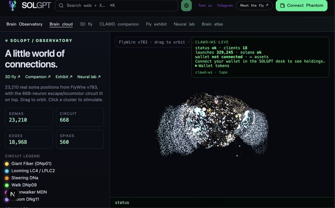 A screenshot of the SOLGPT website displaying a 'Brain Observatory' page with a 3D fly neural circuit visualization showing 23,210 somas, 668 edges, and 18,968 spikes.