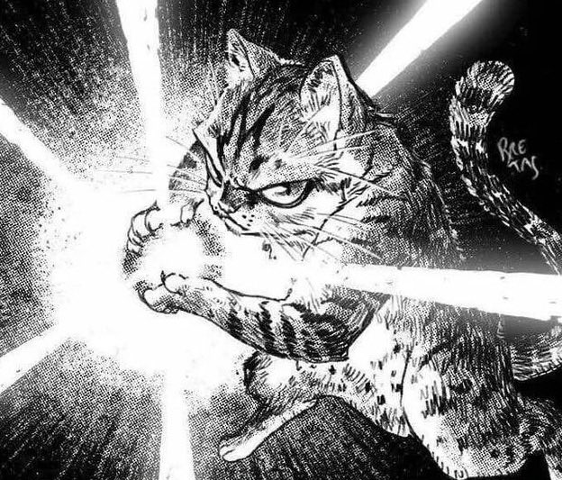 A fierce black-and-white illustrated tabby cat with an intense expression swipes at bright light streaks, signed "Brec Kins" in the corner. The aggressive, action-packed cat image matches the post's "KET is on fire" energy, with the illuminated beams symbolizing the stock's bullish momentum that the user is celebrating.