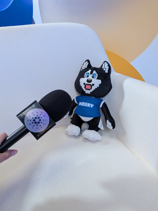 A plush husky dog toy wearing a blue shirt that says 'HOSKY' sits on a white chair while being approached by another hand holding a microphone.