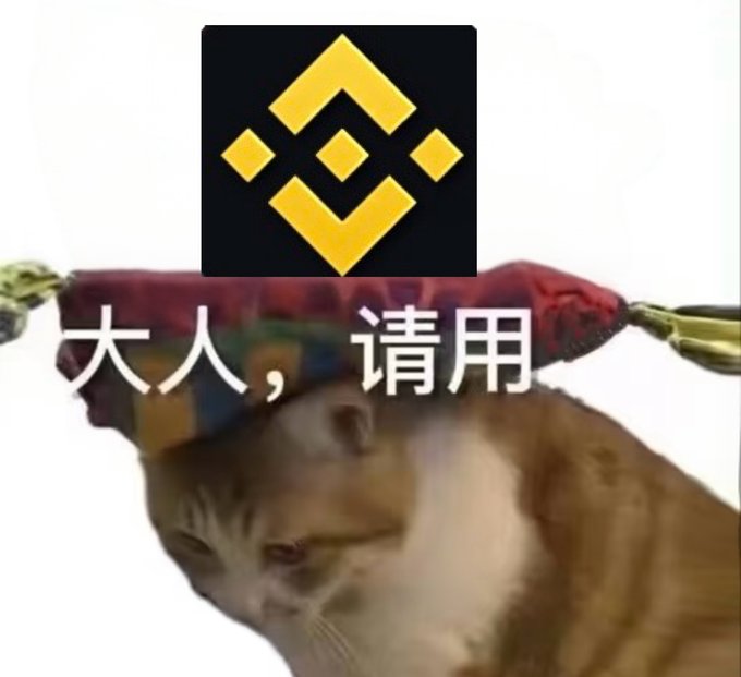 A meme featuring a distressed cat wearing a traditional Chinese official's hat bowing beneath the Binance logo, with text reading '大人，请用' (Sir, please use).