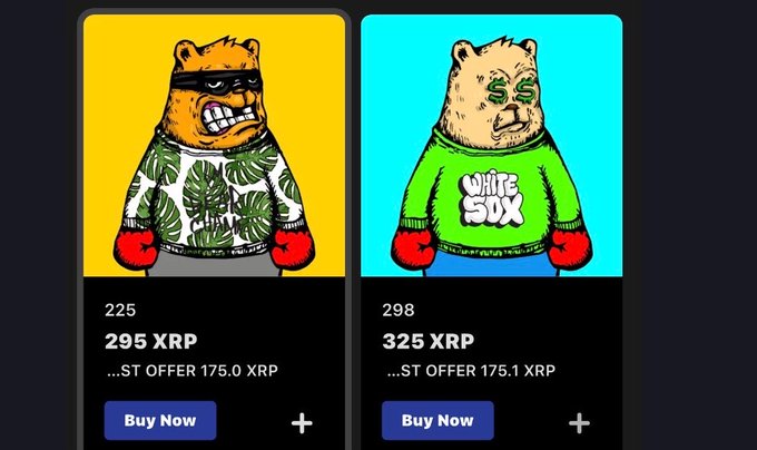 Two Bored Camels NFTs are listed for sale at 295 XRP (#225) and 325 XRP (#298), supporting the post's claim that floor prices are rising and encouraging buyers to act before getting priced out of the "BChamps" collection.