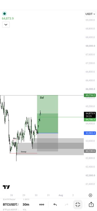 Bitcoin/USDT TradingView chart showing price around $64,873.9 with technical analysis annotations including 'Sweep', 'Mit', and 'Saf' zones, with price levels marked at 65,716.2, 63,065.4, and 63,130.6.