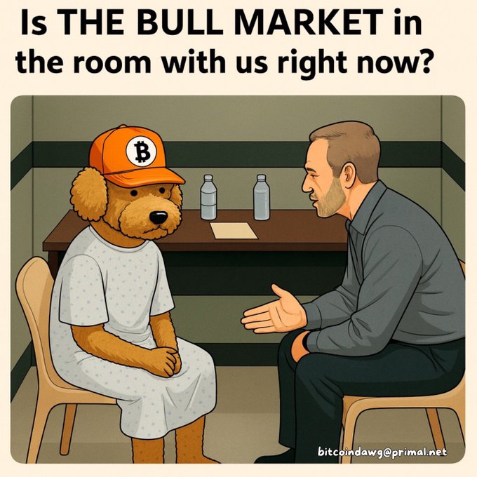 A cartoon-style meme illustration asking 'Is THE BULL MARKET in the room with us right now?' featuring a bear character wearing a Bitcoin cap in a hospital gown being interviewed, credited to 'bitcoindawg@primal.net'.