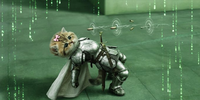 A cute cat wearing a pink bow and medieval armor is dodging bullets in a Matrix-style scene with green digital rain.