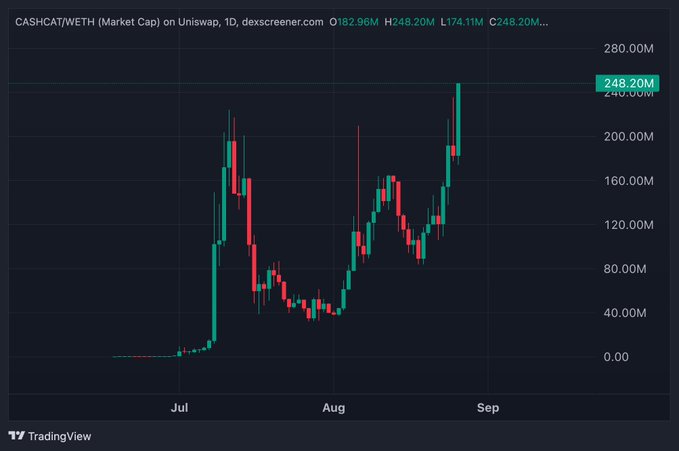 The image is a 1D candlestick chart from DexScreener showing the market cap of CASHCAT/WETH on Uniswap, with the current value highlighted at 248.20M, approaching the user's predicted $CASHCAT all-time high of 300M. The chart illustrates a strong uptrend from July through early September, with recent candles showing a sharp rally from the ~120M range toward the 248M level.