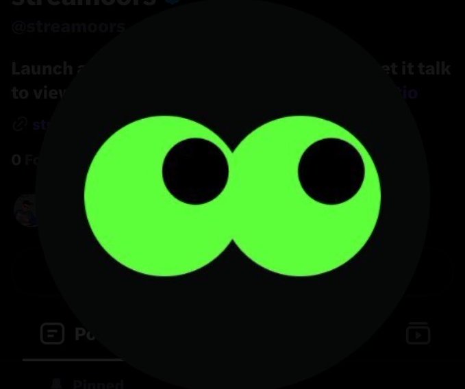 A dark screen displaying a bright green, stylized infinity or two-circle logo, partially obscuring text that includes '@streamoors' in the background.
