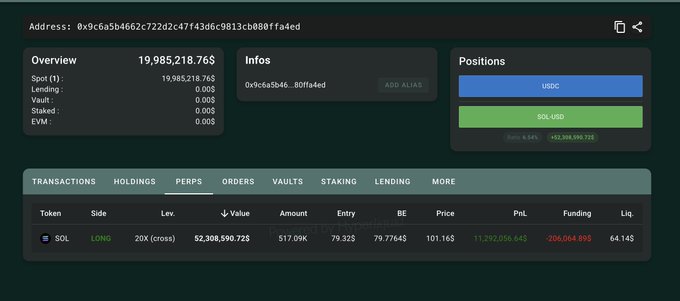 DeFi portfolio dashboard showing an address with overview balance of 19,985,218.76$, positions in USDC and SOL-USD, and a SOL LONG 20x perpetual position with $206,064 PnL.
