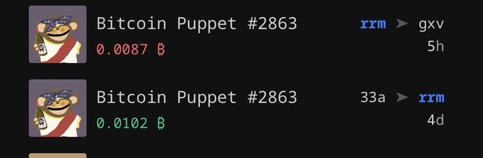 A screenshot of a NFT marketplace listing for "Bitcoin Puppet #2863" showing two sale transactions: one from "rrm" to "gxv" for 0.0087 B 5 hours ago, and another from "33a" to "rrm" for 0.0102 B 4 days ago.