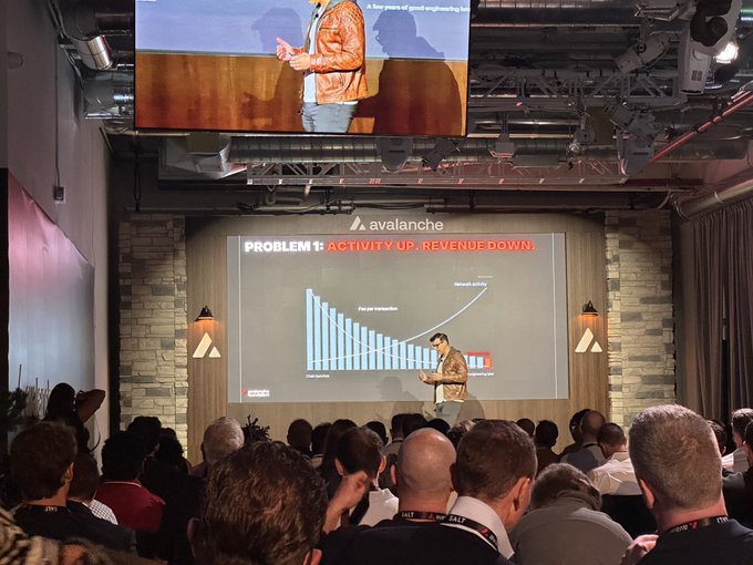 A presenter speaks at the Avalanche Summit in front of a slide titled "PROBLEM 1: ACTIVITY UP, REVENUE DOWN," featuring a bar chart illustrating user transaction decline alongside rising network activity. The image reflects the caption's enthusiasm about networking opportunities across business verticals at the Avalanche summit.