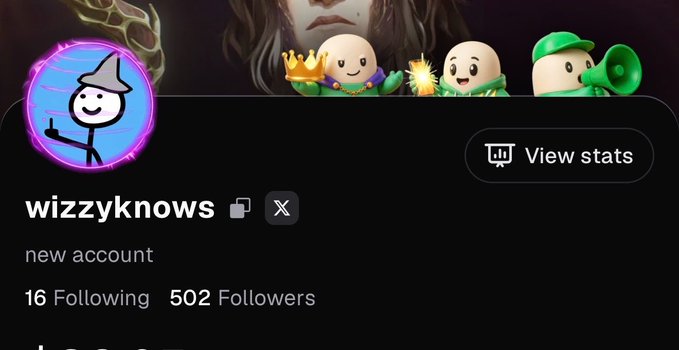 A social media profile for 'wizzyknows' with an open lock icon and 'View stats' button, showing 'new account', 16 Following, and 502 Followers, decorated with cartoon character emojis.
