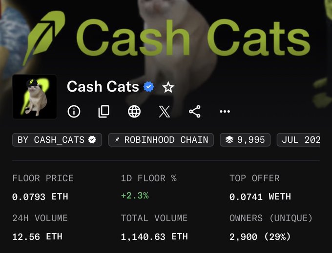 The image shows the NFT collection "Cash Cats" on Robinhood Chain, with a floor price of 0.0793 ETH, 24h volume of 12.56 ETH, and 2,900 unique owners (29%). It supports the post's claim that these NFTs are an affordable "generational wealth opportunity," as the ~$200 floor price (around 0.0793 ETH) makes them accessible entry points into the 9,995-supply collection.