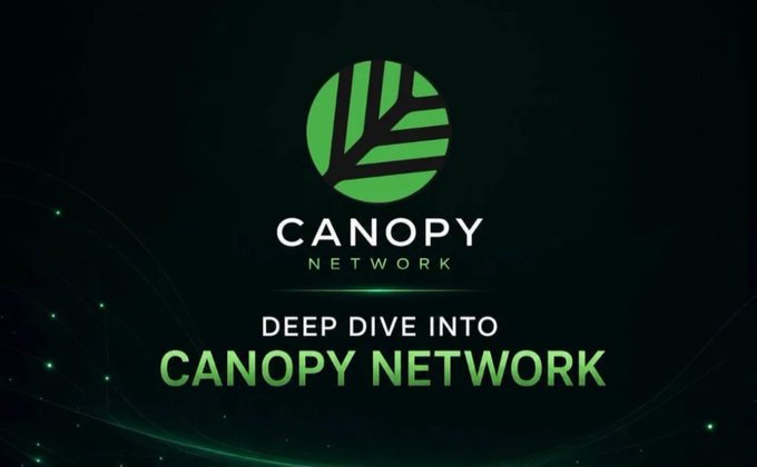 Dark green promotional graphic featuring the Canopy Network logo with text 'DEEP DIVE INTO CANOPY NETWORK'.