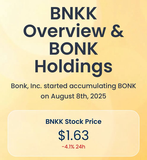 The image shows an advertisement for BNKK Stock Price. It features a yellow background with text explaining the stock price, stating that the stock price has dropped from $1.63 to 4% per share, and that holders can receive up to $1,633 in tokens as a reward for holding.