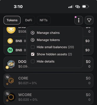 A mobile phone screenshot of a cryptocurrency wallet app showing tokens including BNB, DOG, CORE, and WCORE with a dropdown menu open displaying options like "Manage chains," "Manage tokens," and "Hide small balances."