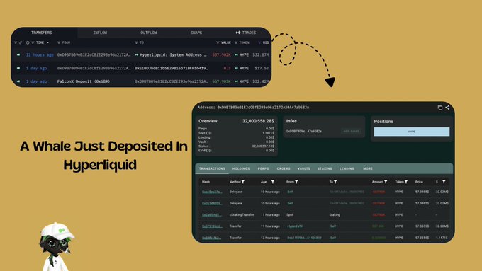 A graphic showing crypto wallet transfers and deposits on 'Hyperliquid' for address '0x9078...07275...', with the text 'A Whale Just Deposited In Hyperliquid'.