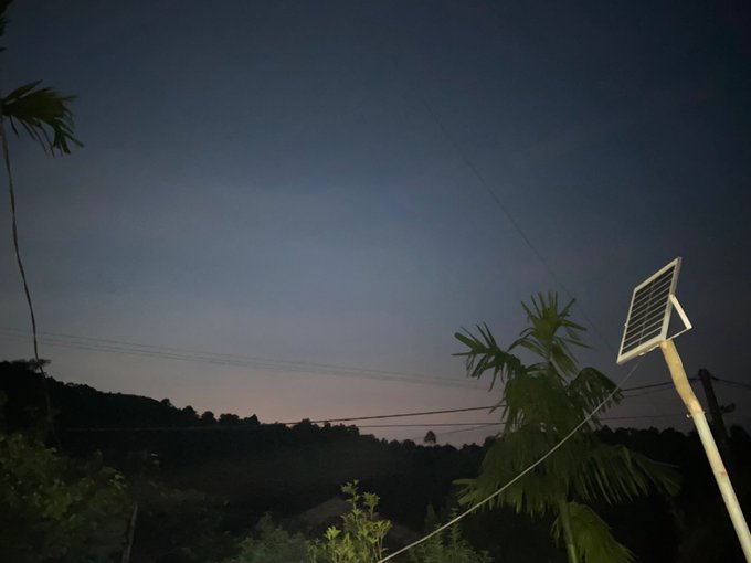 A twilight sky with a pinkish horizon over silhouetted treetops, palm leaves, and a solar street lamp.