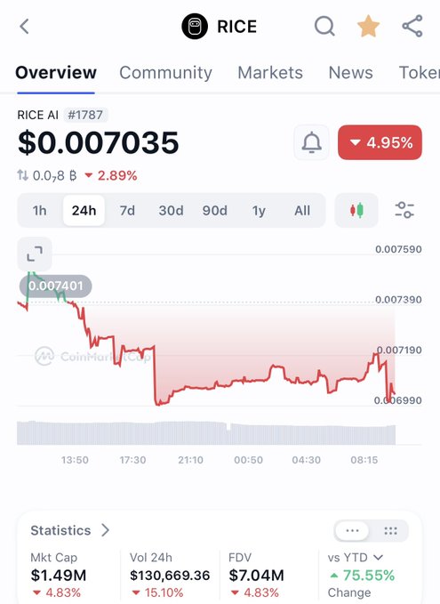 A cryptocurrency tracking app screenshot showing the price of RICE AI (#1787) at $0.007035, with a 4.95% drop on the 24h chart.