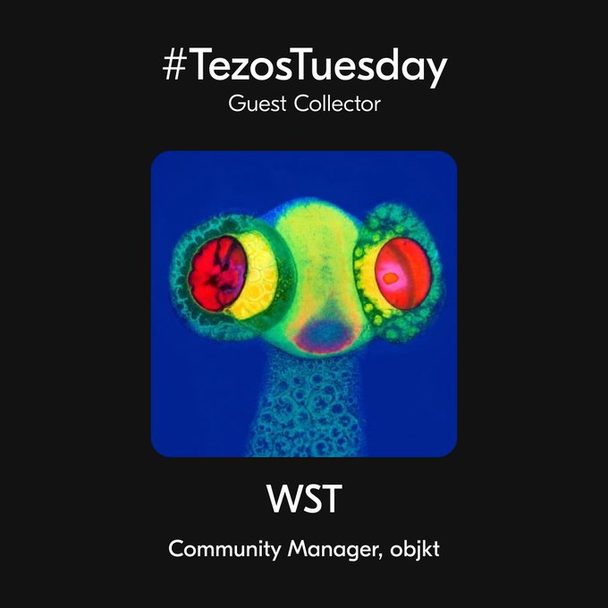 The graphic features a vibrant, multicolored abstract artwork with two circular eye-like forms on a deep blue background, promoted as "#TezosTuesday Guest Collector: WST, Community Manager, objkt." It introduces WST (@WiseSigmaToad), a Tezos NFT community member who will curate 1000 tez worth of art from artists' replies for this week's #TezosTuesday collection.