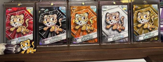 A display of five trading cards in protective sleeves featuring a cartoon leopard character, each with different colored backgrounds (red, black, orange, white, and gold).