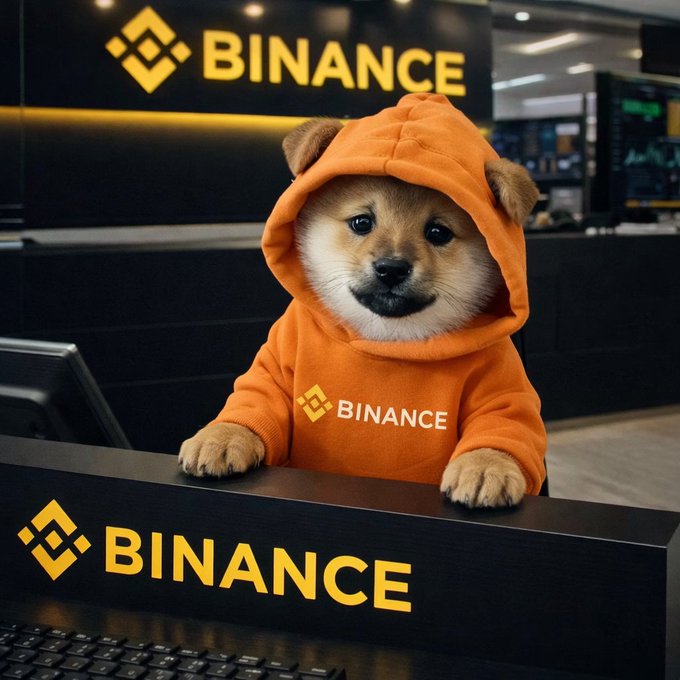 A Shiba Inu dog wearing an orange Binance hoodie sitting at a Binance-branded desk.