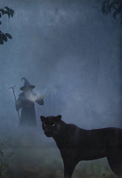 A black panther with glowing eyes stands in a misty forest while a hooded, robed figure holding a staff appears in the background, creating an eerie, mystical scene. The haunting, almost supernatural atmosphere ties into the caption "Real ones know," suggesting a knowing or shared awareness of the dark, magical vibe the image evokes.
