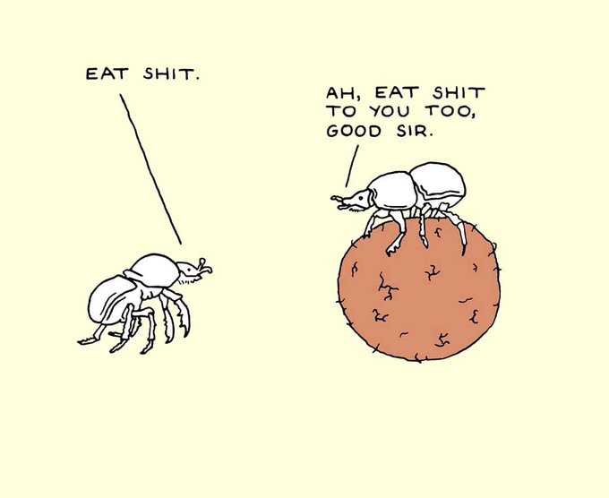 A minimalist comic shows a dung beetle telling another beetle on a dung ball 'EAT SHIT,' to which it responds 'AH, EAT SHIT TO YOU TOO, GOOD SIR.'